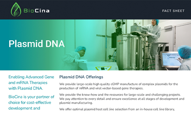 pDNA Fact Sheet BioCina