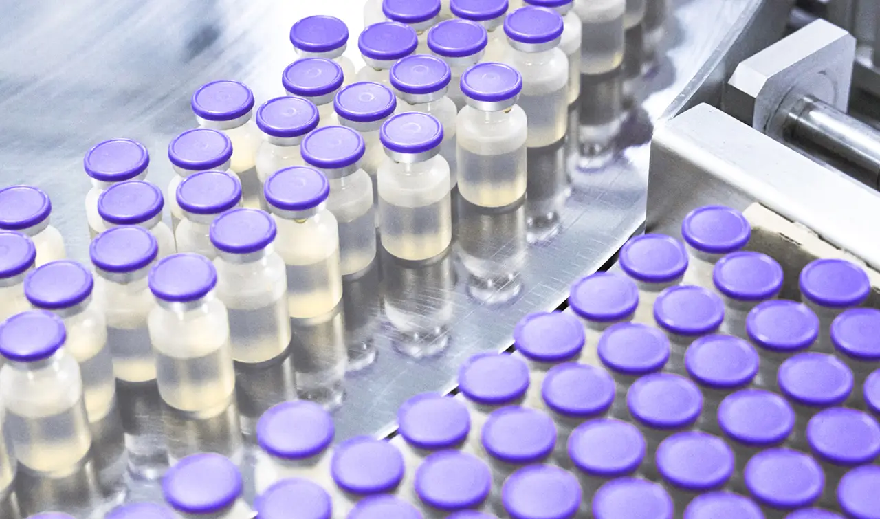Large batch of pharmaceutical glass vials with purple caps on a production tray for clinical or commercial supply.